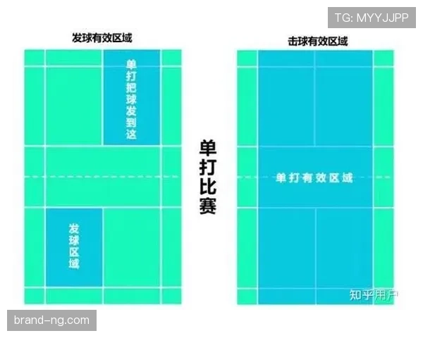 界外判定规则：球何时算完全出界及判罚方的关键条件
